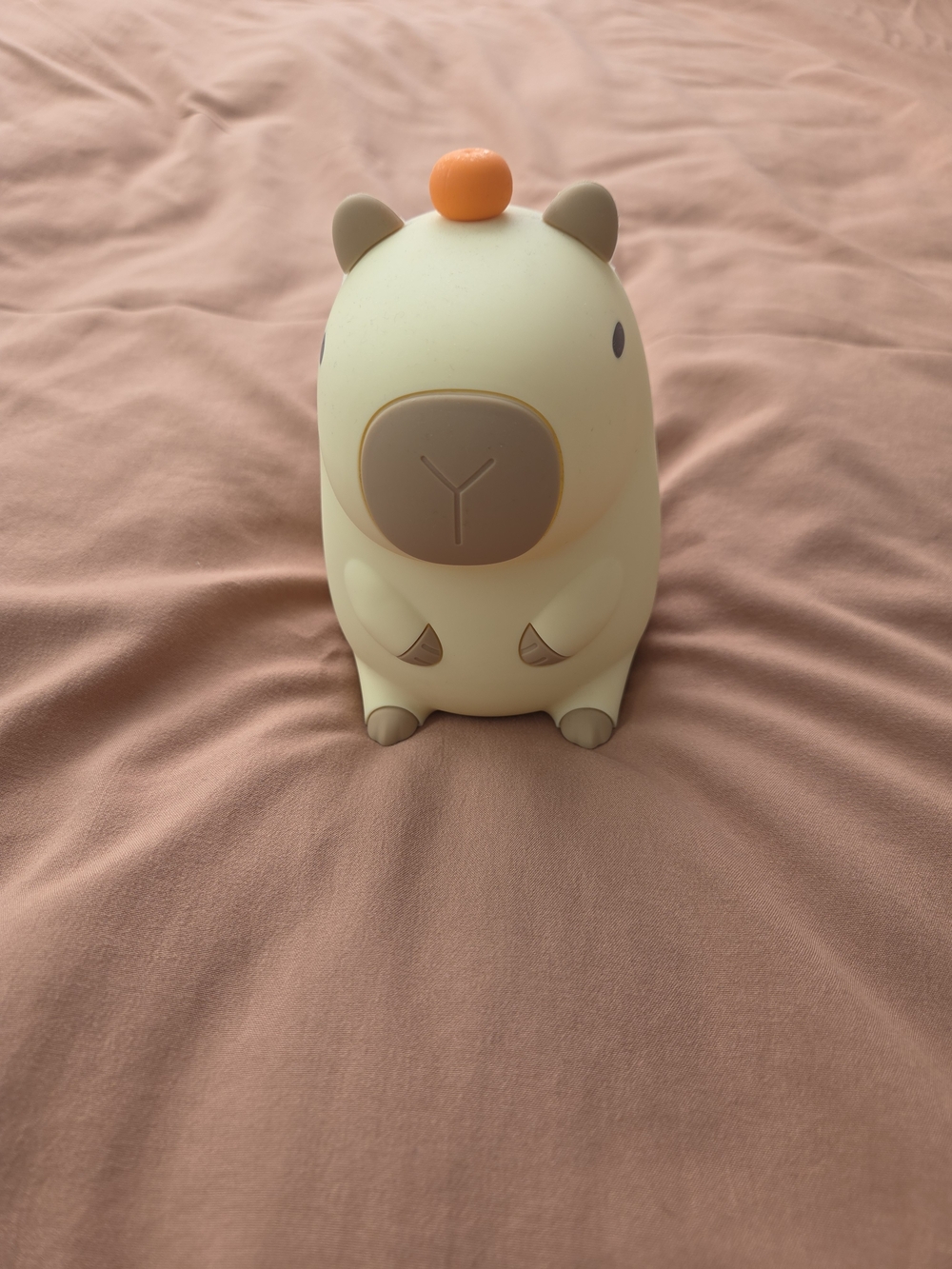 Nighy Light Cappybara